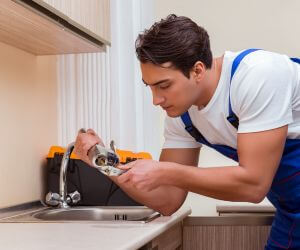 About Plumbers Pros Ida, MI